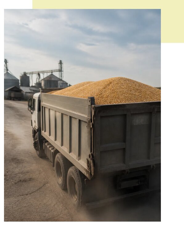 Перевозка сельхозпродукции навалом в Великого Новгород по цене от 3069 р. | Агросервис-Влк